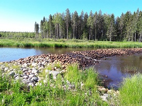 Kalamäen kosteikko